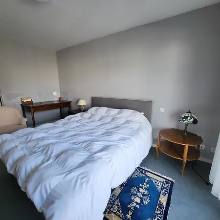 T3 Aux Sables D'olonne Avec Balcon, Garage, A 500m De La Et 400m Des Commerces - Fr-1-92-790 * لي سابلِ دولونْ