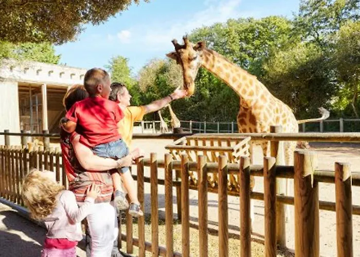 T3 Aux Sables D'olonne Avec Balcon, Garage, à 500m De La Et 400m Des Commerces - Fr-1-92-790 Appartamento *